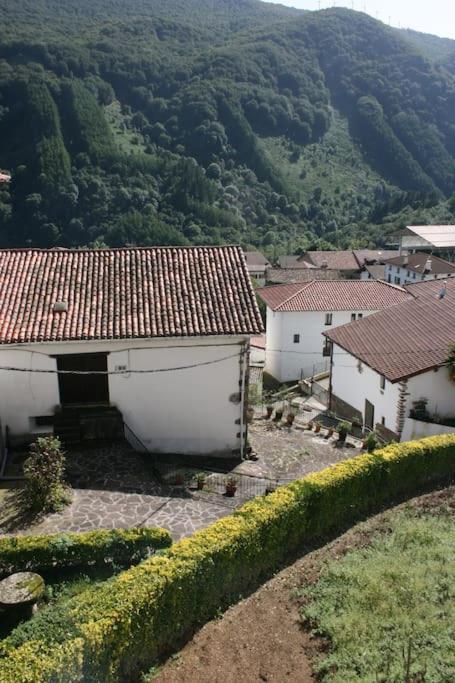 Appartamento Gartzinea, Amplia Y Preciosa Vivienda Rural Ezkurra Esterno foto