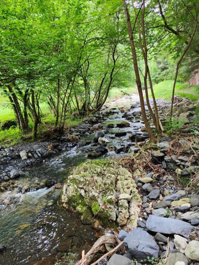 Appartamento Gartzinea, Amplia Y Preciosa Vivienda Rural Ezkurra Esterno foto
