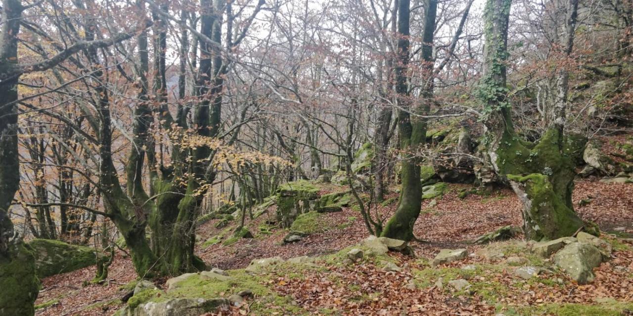 Appartamento Gartzinea, Amplia Y Preciosa Vivienda Rural Ezkurra Esterno foto